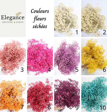 10 couleurs fleurs séchées au choix